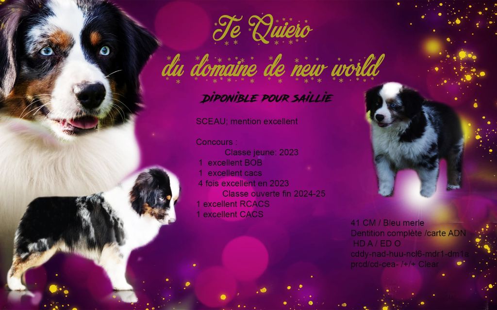 Te quiro du domaine de new world